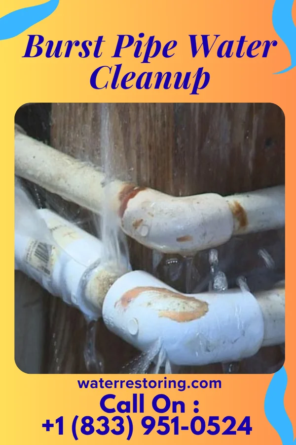 Burst Pipe Water Cleanup in Siglerville, PA