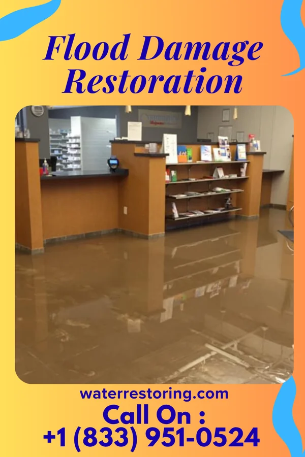 Flood Damage Restoration in Siglerville, PA