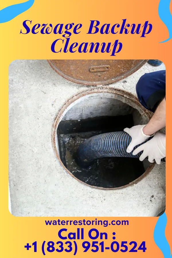 Sewage Backup Cleanup in Siglerville, PA