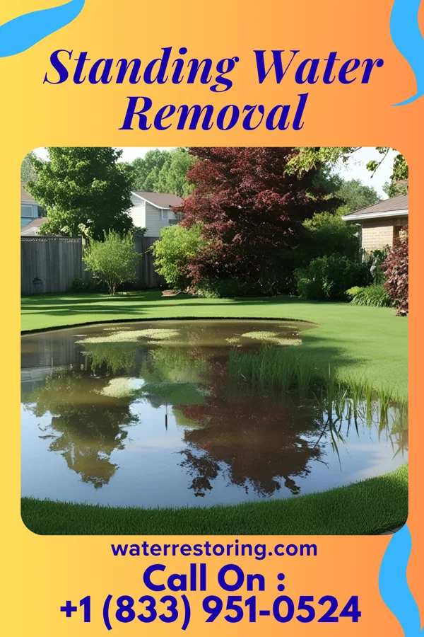 Standing Water Removal in Siglerville, PA